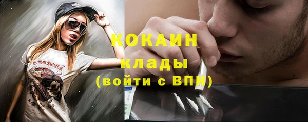 соль ск Каменногорск