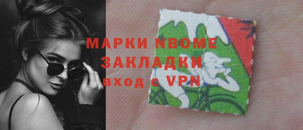 дурь Инта