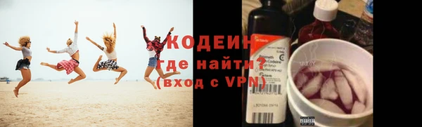 дурь Инта
