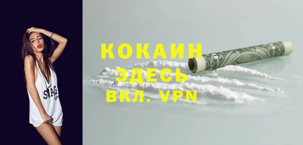 СК Каменка