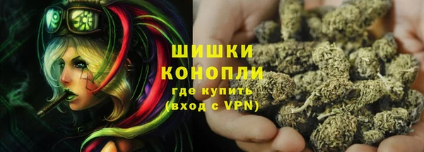 дурь Инта