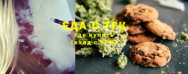 дурь Инта