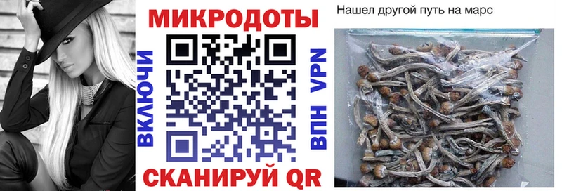 Купить где  Белая Холуница  Галлюциногенные грибы Cubensis 